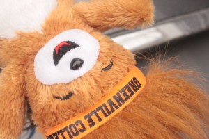 Bear Lion upside down