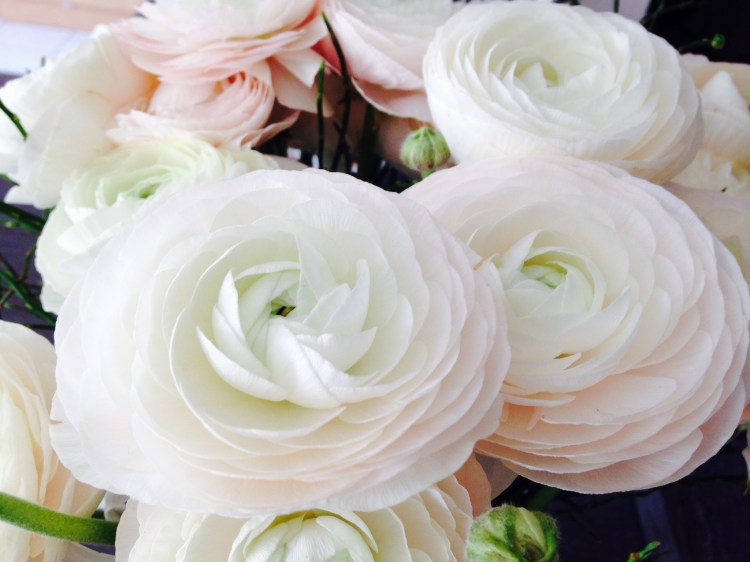 ranunculus bouquet